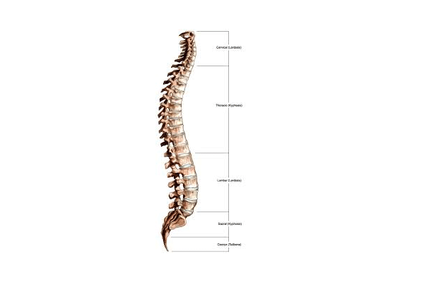 World Spine Day 2025 
