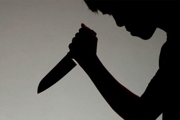 driver-kills-owners-son driver-kills-owners-son