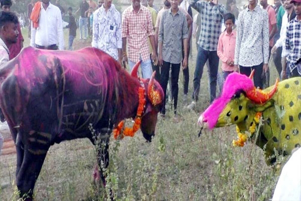 chandrapur-padwa