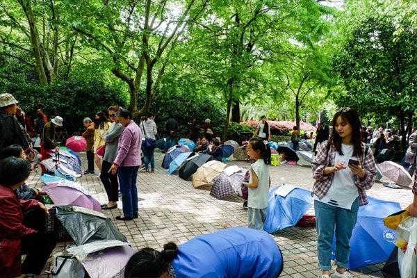 Husband and wife market