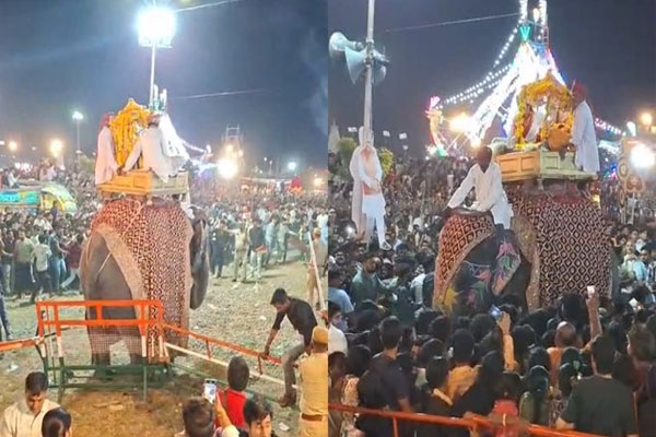 elephant-goes-out-of-control-kota