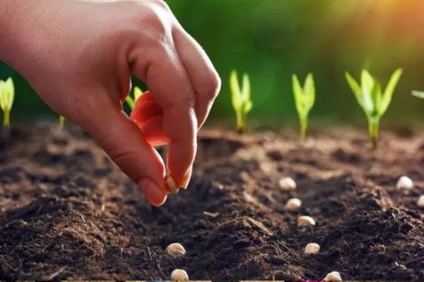 Strict against  Strict against