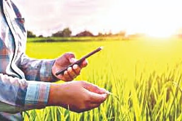 Deadline extended again for e-PIC inspection