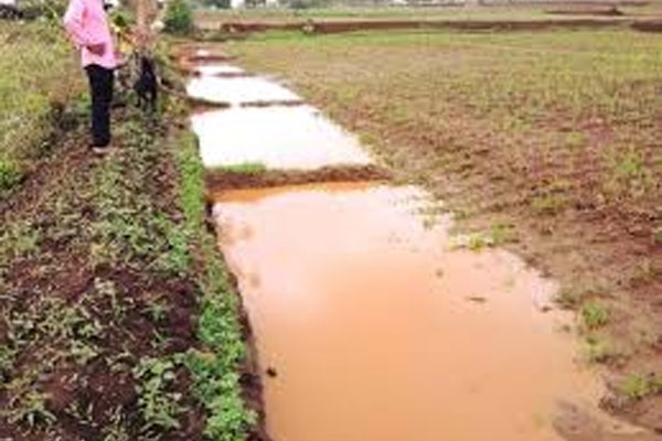 संग्रहित फोटो