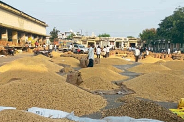 सोयाबीन 
