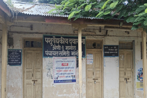 Veterinary doctor 