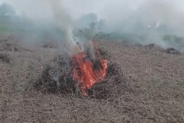 soybean farmer fire