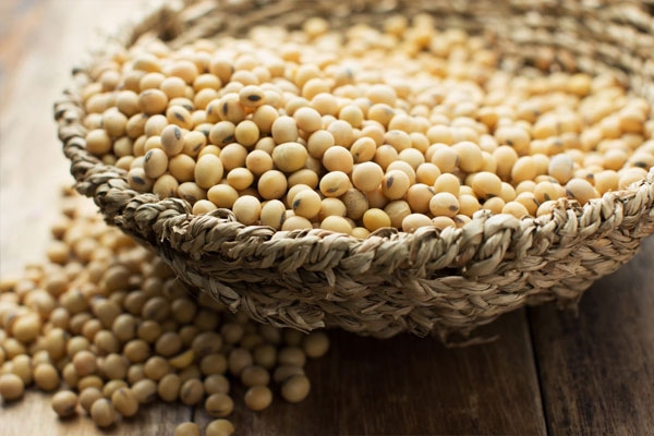 Soybean price will be