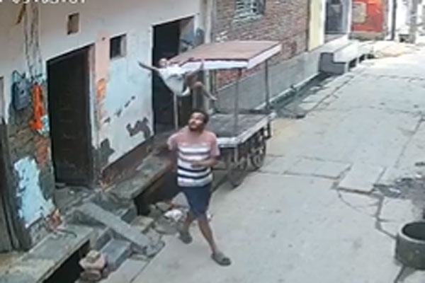 girl-falls-from-roof-in-monkey-attack