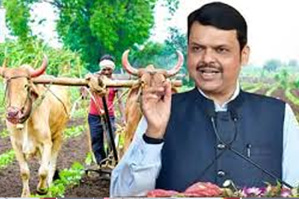 शेतकरी 