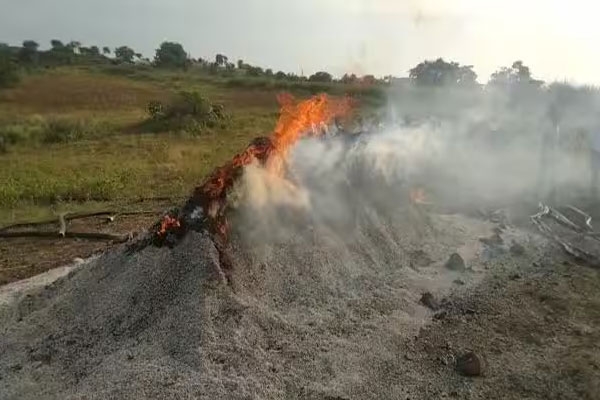 Soybean fire Hinganghat,