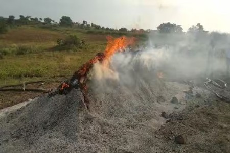 दोन एकरांतील सोयाबीनच्या गंजीला लावली आग