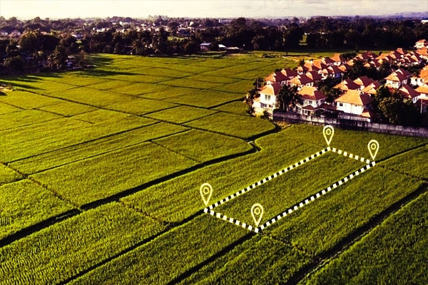 Gunthewari recognized in Maharashtra