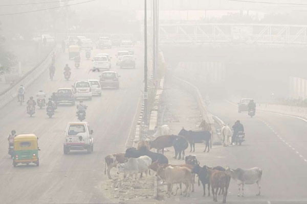 Air pollution in Delhi-NCR