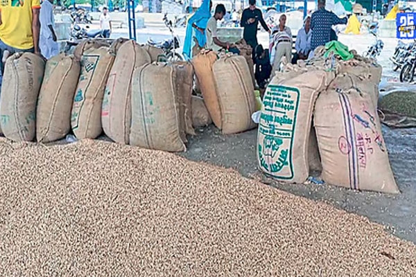 Soybean purchase wardha