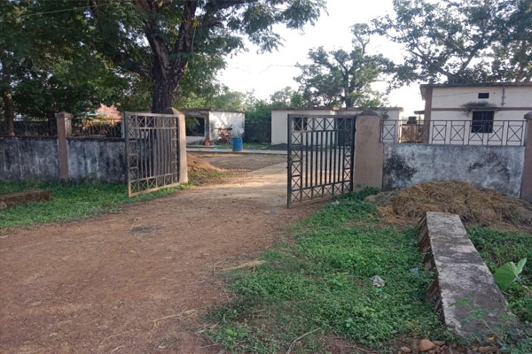 Mulla Animal Hospital