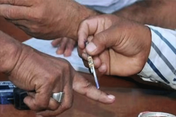 local-government-elections