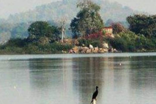 Kohli community cargo pond