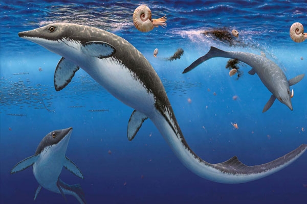 Fossils found in the Arctic