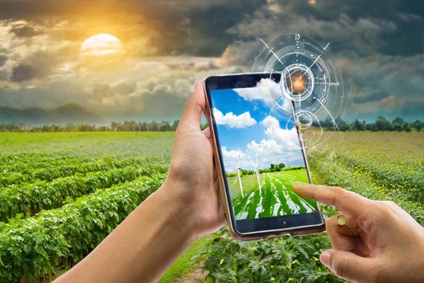 Google weather forecast 