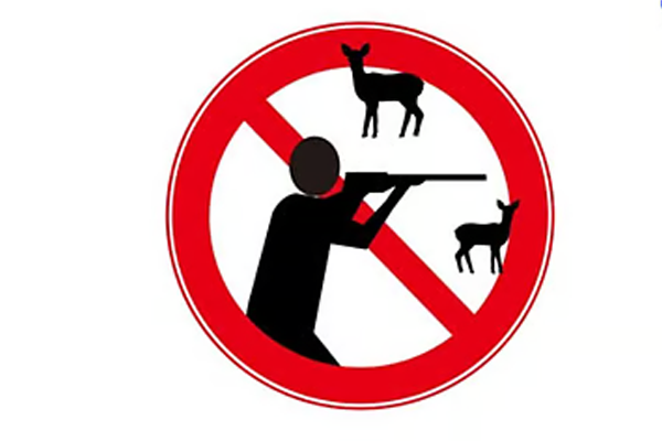 वन्यप्राणी 