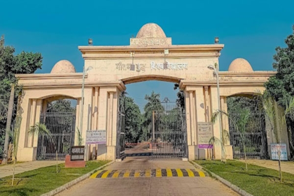 gautam-buddha-university-llm-course