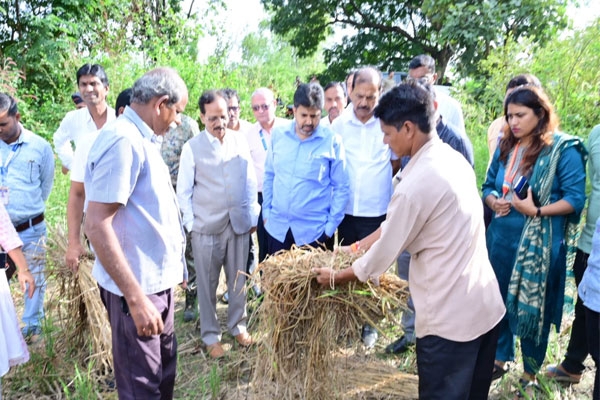 Gondia, Indranil Naik