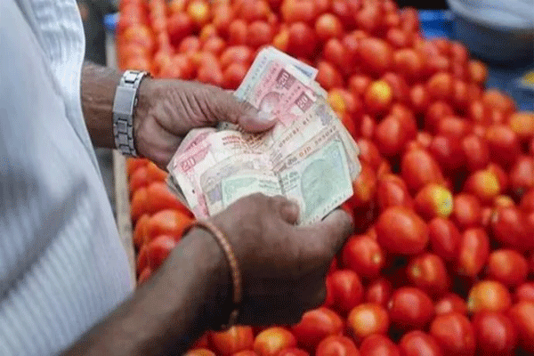 tomato-prices-increase