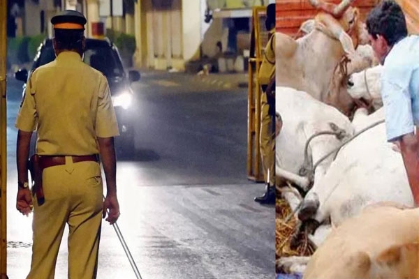 Nagpur cattle fat warehouse raid