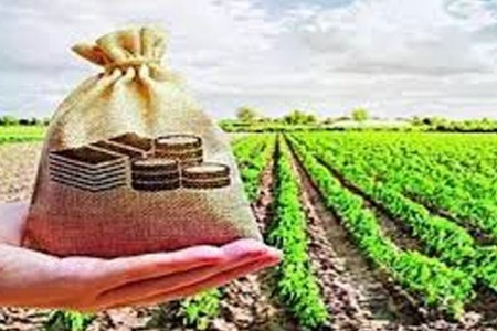 २.४२ लाख शेतकऱ्यांच्या खात्यात डीबीटीद्वारे १९१ कोटींचा मदतनिधी जमा