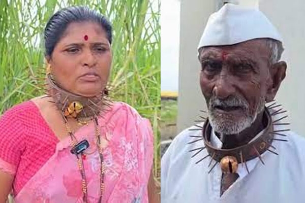 Farmer wearing a thorn belt