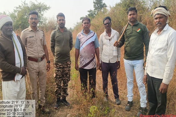 Tiger sighting Taluka Ashti 