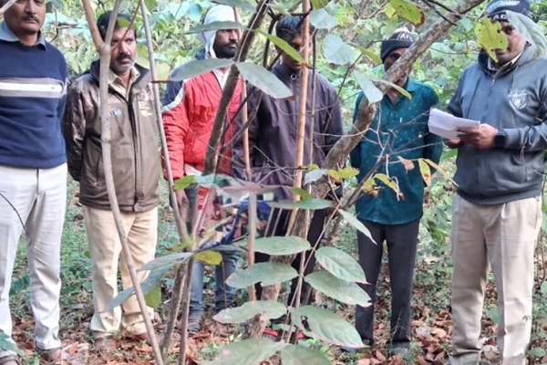 टायगर attack 