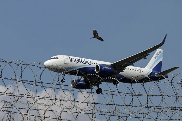 indigo-flight-damaged-by-bird-strike