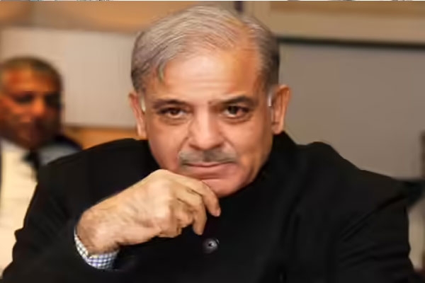 pml n dominance head