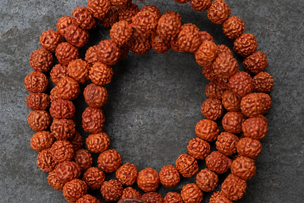 रुद्राक्ष 