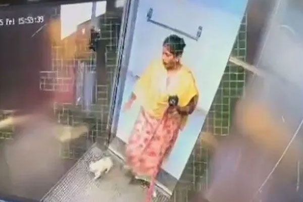 maid-kills-dog-in-bengaluru