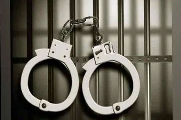property-grabbing-gang-arrested