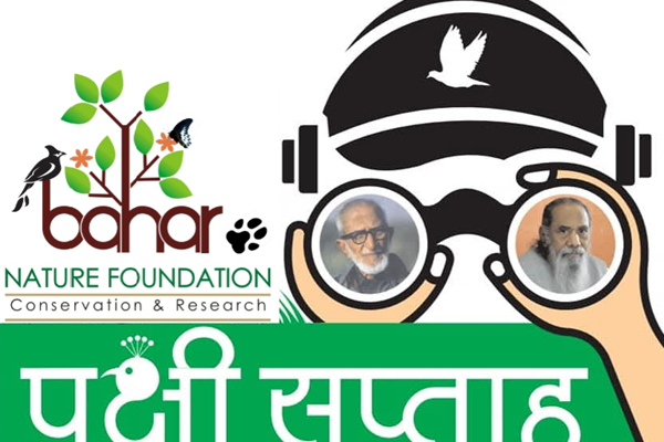 बाहेर foundation 