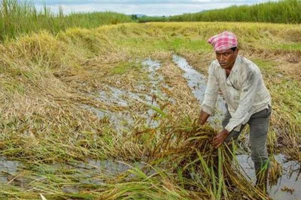Wardha farmers aid, flood relief fund