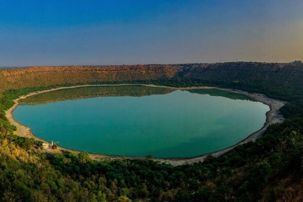 Life blooms in Lonar Lake Life blooms in Lonar Lake
