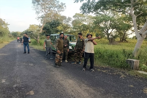 forest-department-girad