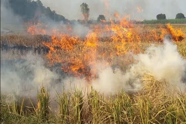 Incidents of burning of parati