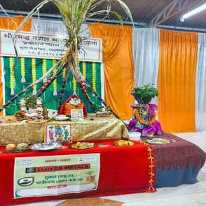 तरुण भारतच्या सामूहिक तुलसी विवाह उपक्रमाला उत्तम प्रतिसाद