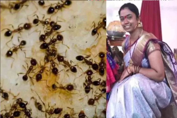 woman-commits-suicide-over-fear-of-ants