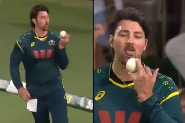 Team David celebrates Team David celebrates