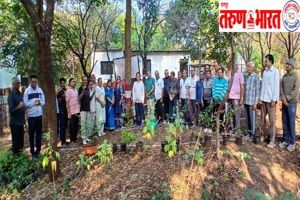 oxygen-park-booch-tree-festival