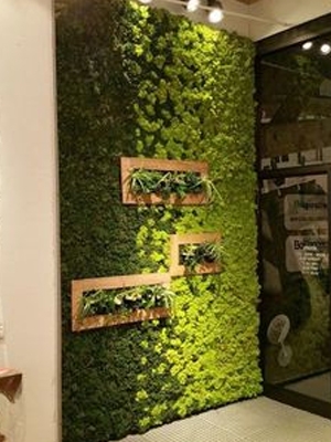 फ्रेम वॉल 