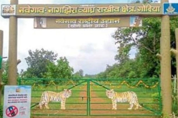 Navegaon-Nagzira Tiger Project
