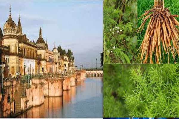 sharayu ghat sharayu ghat